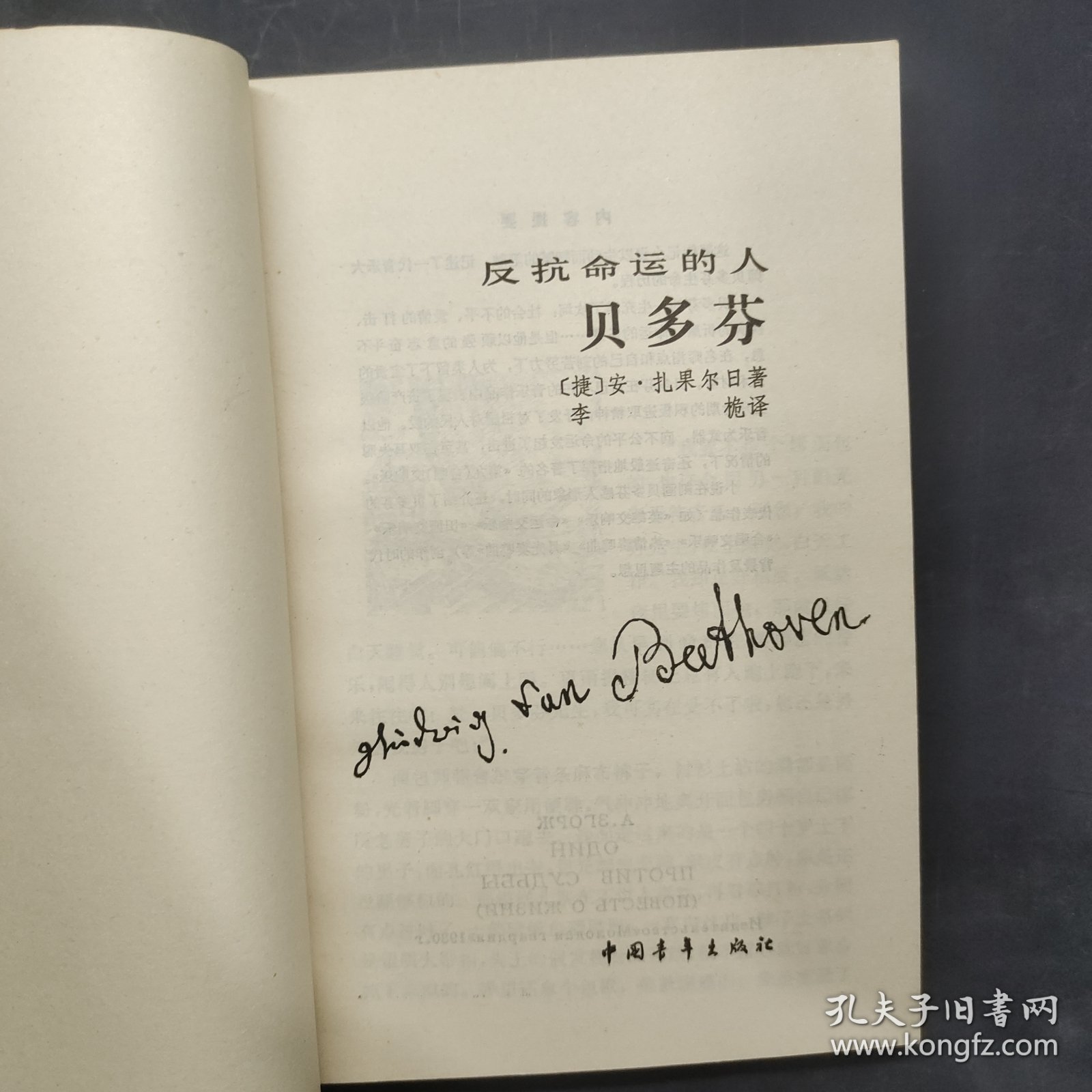 反抗命运的人 : 贝多芬