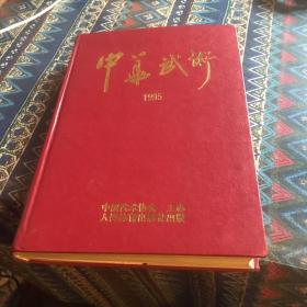 中华武术1995合订本