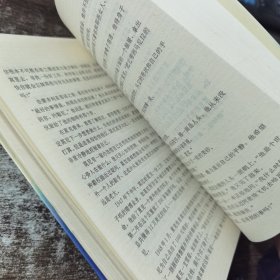 黑社会大纪实・老大――教父莫尼・吉安卡纳的一生