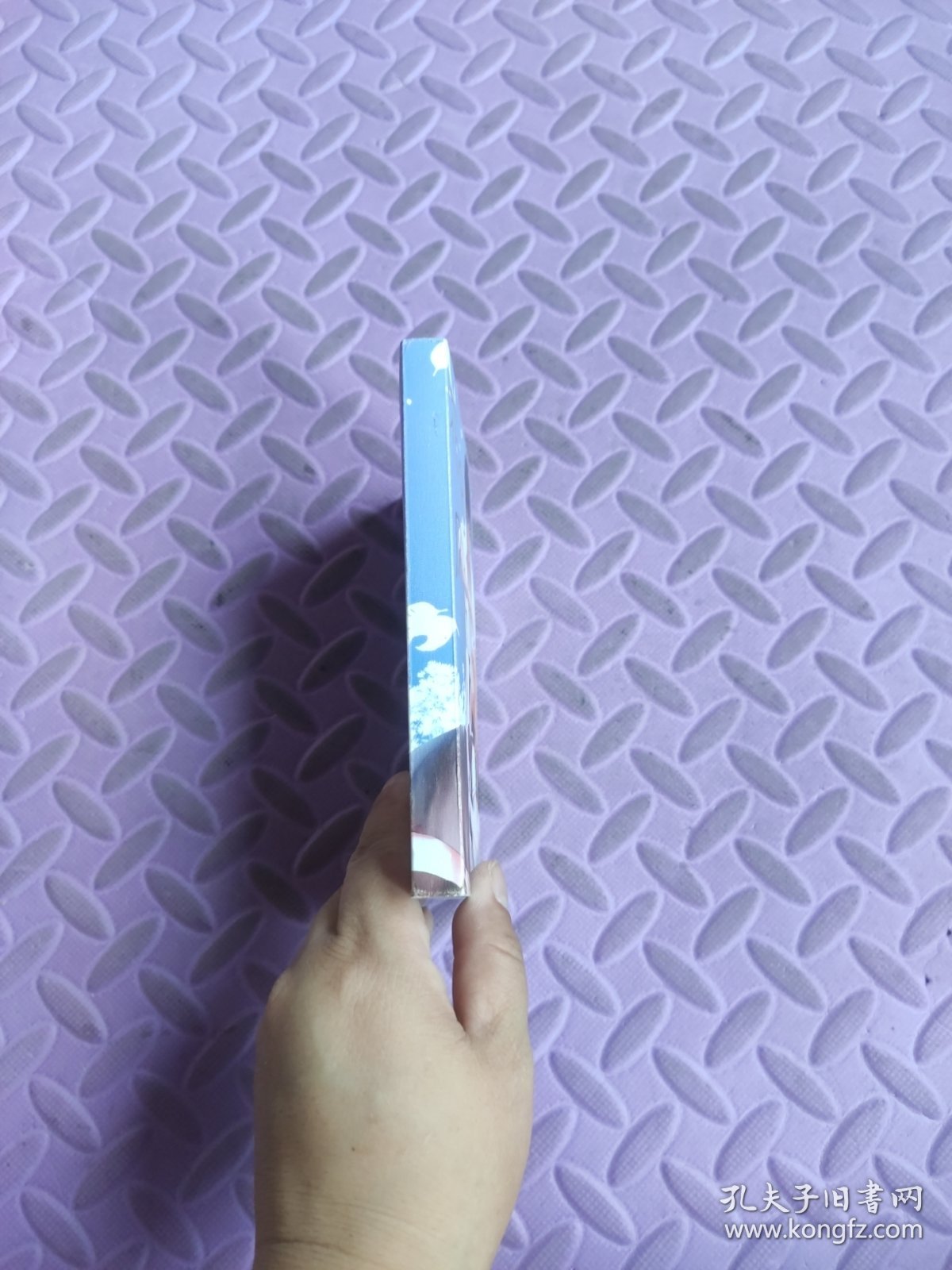花鸟风月
