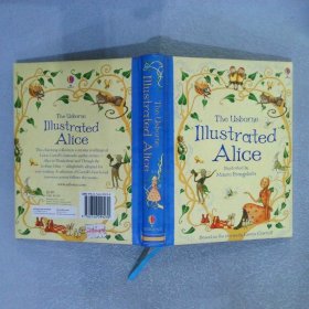 the usborne illustrated alice  美国画报爱丽丝