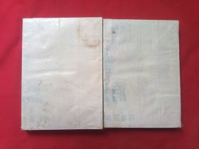 绘图评点金瓶梅全传上下