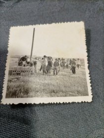 老照片 附小学生参加建校劳动1966年