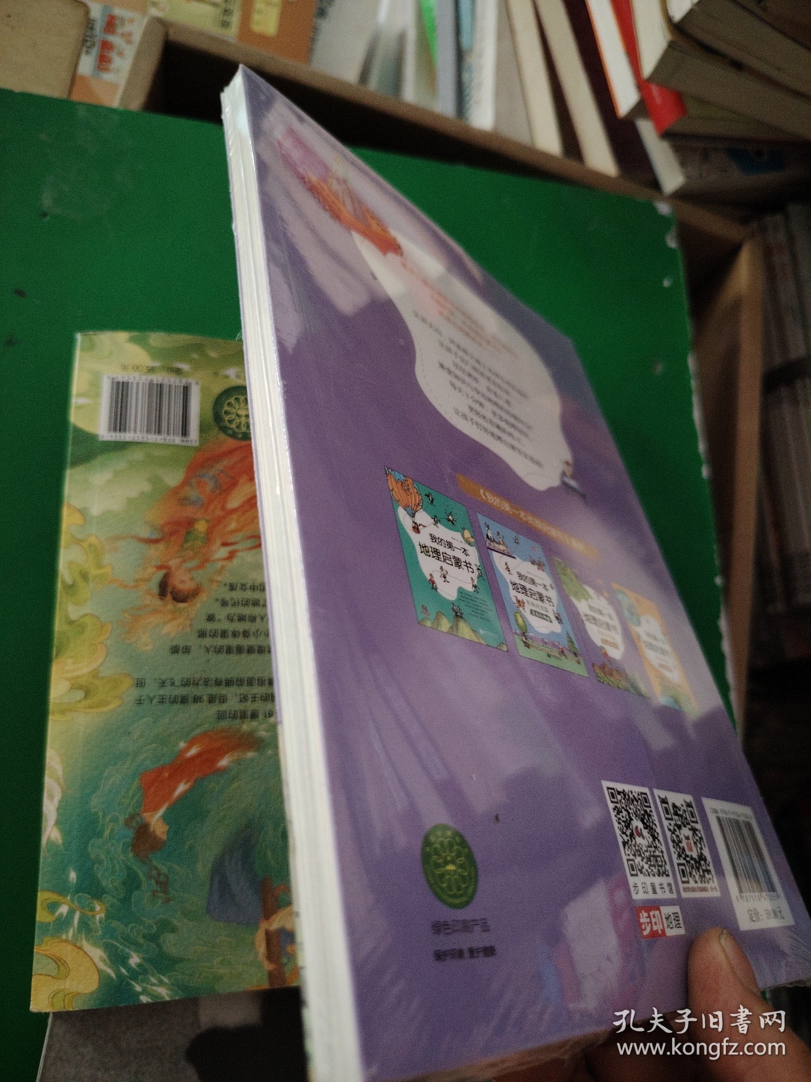 我的第一本地理启蒙书.拓展应用篇.大山与大河（第十二届文津图书奖推荐图书、畅销书《我的第一本地理启蒙书》拓展应用篇系列二