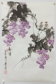 省美协画家纯手绘国画作品字画书画四尺三开条幅葡萄，寓意好画工精湛品相佳，2024年新货