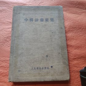 中医诊疗要览