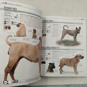 The Complete Dog Breed Book: Choose the Perfect Dog for You 狗狗类品种完整书 超420个狗狗品种参考面板图册 狗狗护理照顾基础知识 DK百科