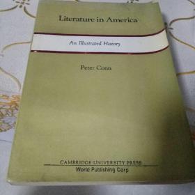 Literature in America--An illustrated History (插图美国文学史, 英文版）