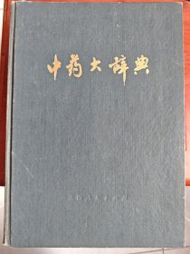 中药大辞典：上下册+附篇