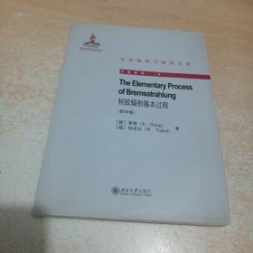 中外物理学精品书系·引进系列15：轫致辐射基本过程（英文影印版）