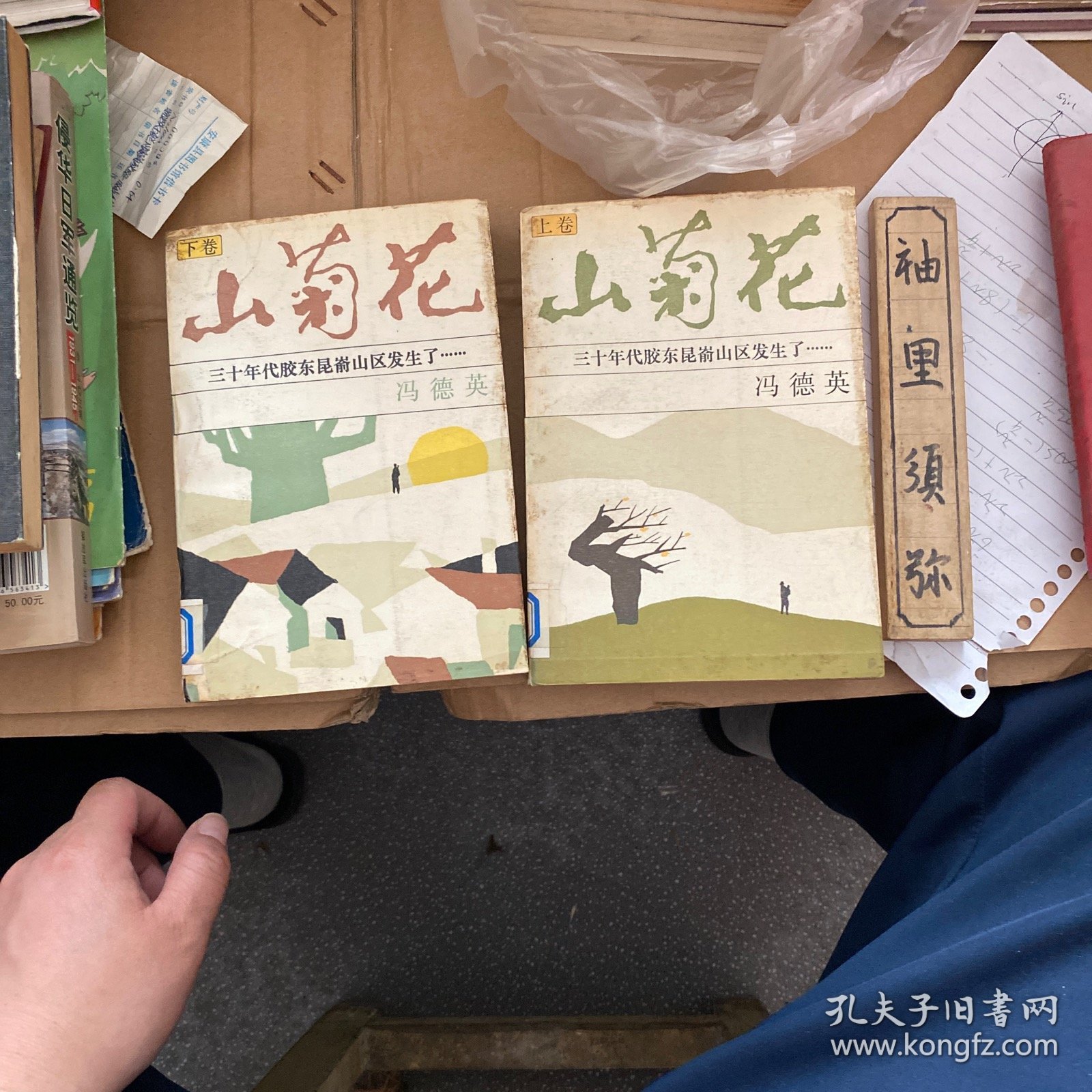 山菊花（上下）