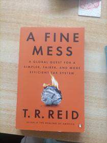 A Fine Mess: A Global Quest for a Simpler,...-一个好的烂摊子：全球寻求更简单的