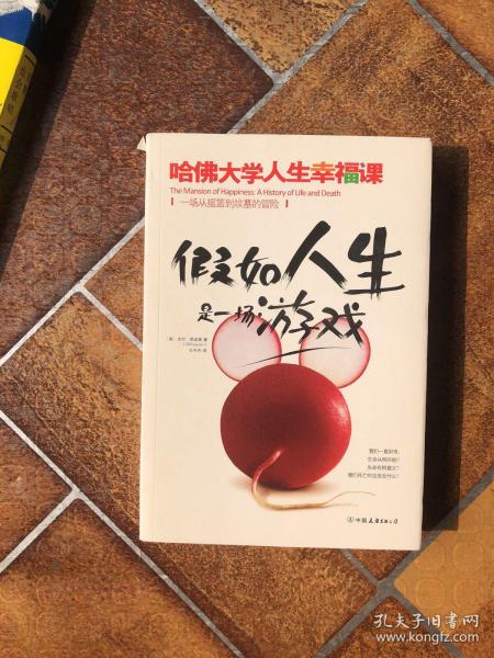 假如人生是一场游戏：哈佛大学人生幸福课