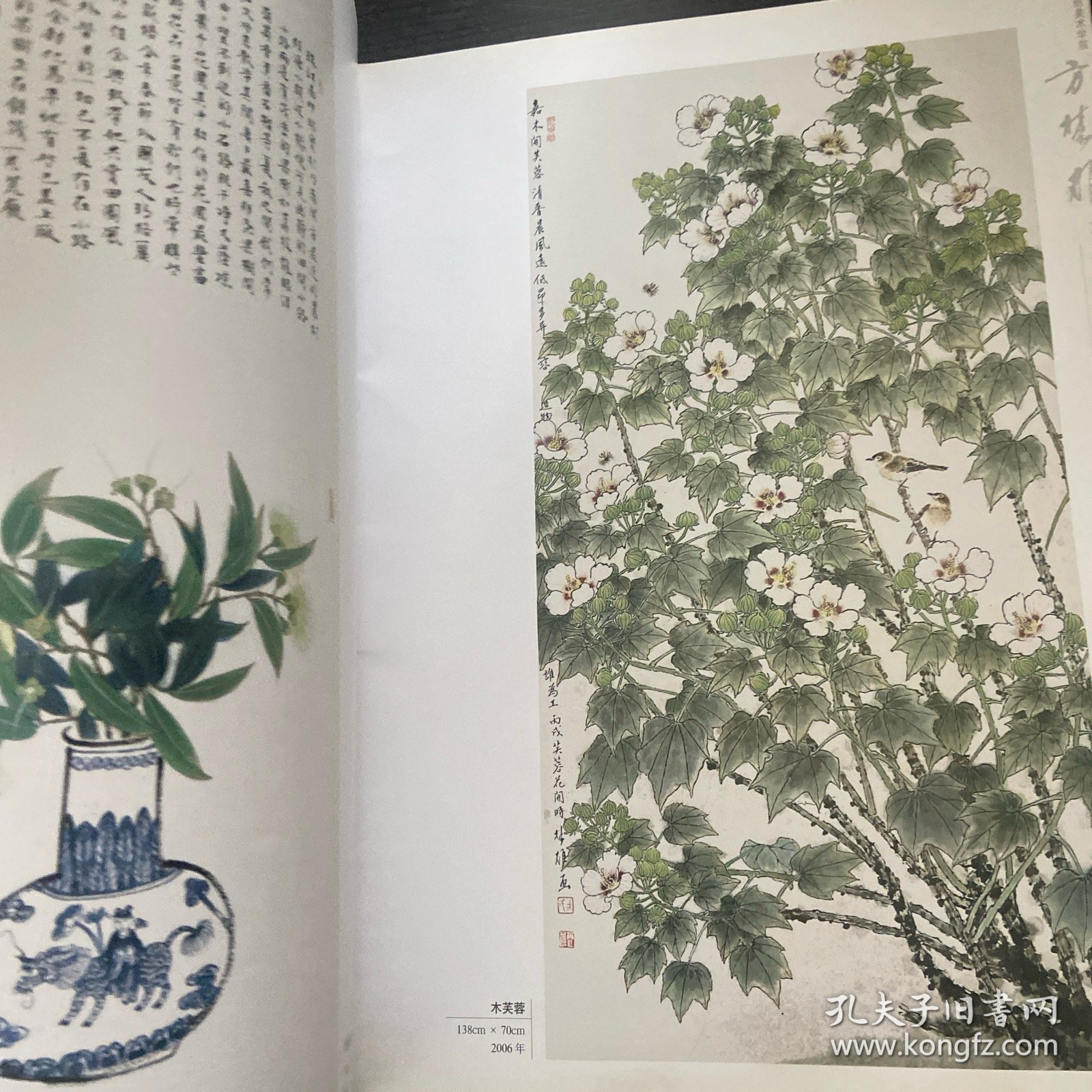 高等美术院校基础教学教法，广州美院方楚雄花鸟写生教学