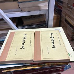 中国文学史（2本合售）