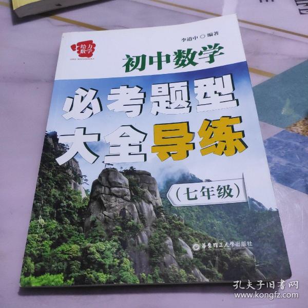 初中数学必考题型大全导练（七年级）