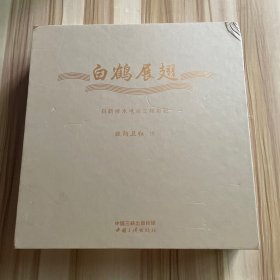 白鹤展翅  白鹤滩水电站工程影纪《地上工程篇、地下工程篇》