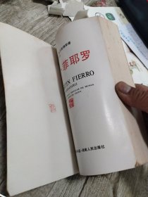 马丁·菲耶罗