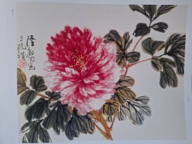 荣宝斋画谱213：牡丹芍药部分