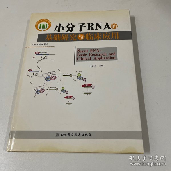 小分子RNA的基础研究与临床应用