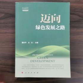 迈向绿色发展之路（人大重阳智库作品系列）