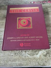 the cervix 英文版   子宫颈