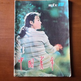 中国青年1980年12期