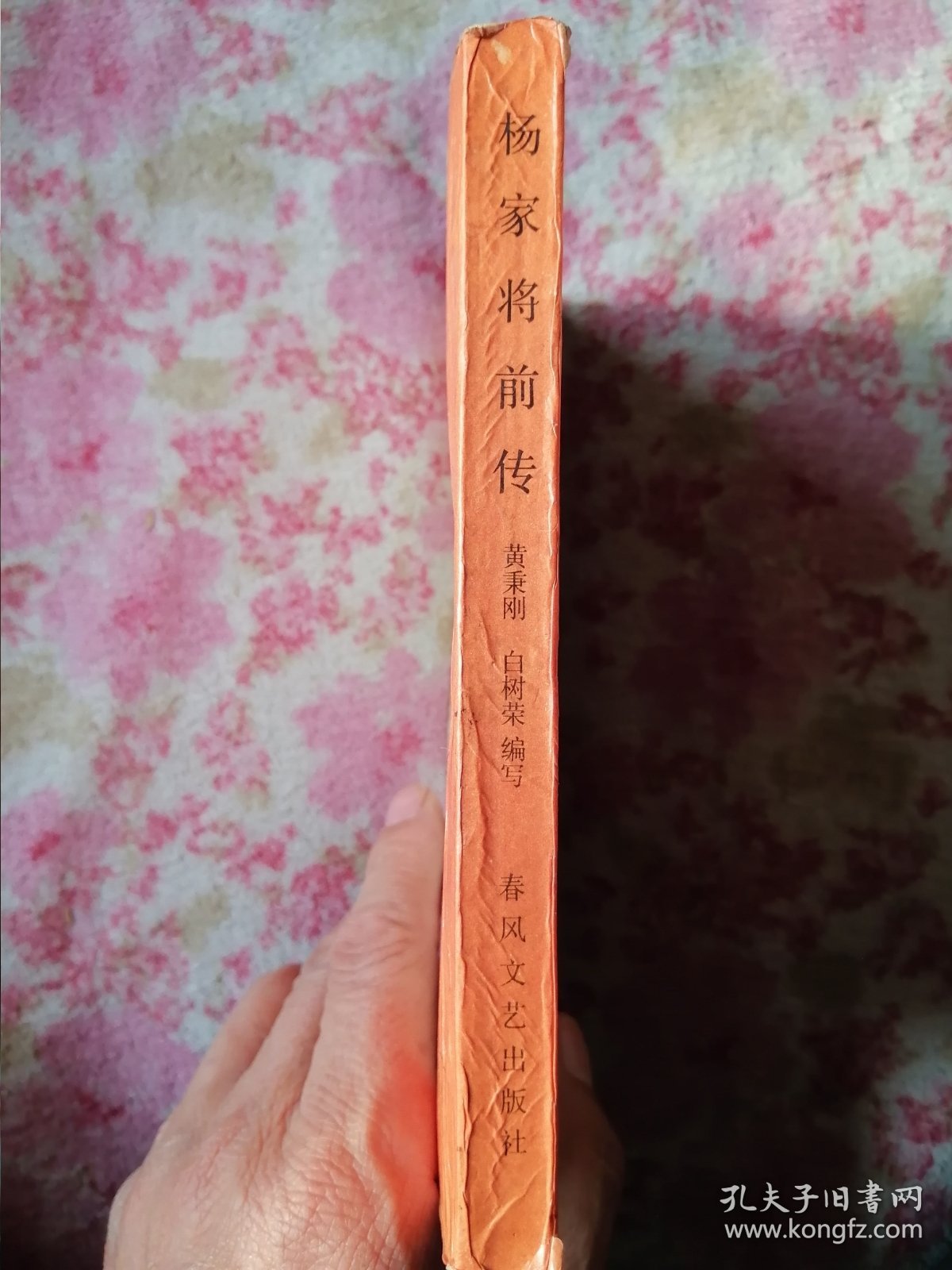 杨家将前传 火山王杨衮