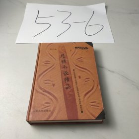 悲情小说精品
