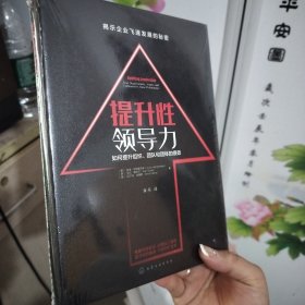 提升性领导力:如何提升组织、团队和团体的绩效