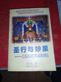 圣行与妙果：藏传佛教密宗奇迹