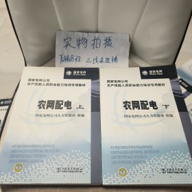 国家电网公司生产技能人员职业能力培训专用教材：农网配电（上下册）