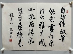 林岫，字苹中、如意。书室名紫竹斋。1945年生，浙江绍兴人。原新华社中国新闻学院古典文学教授。著名诗人、学者、书法家。现任国务院参事室中华诗词研究院顾问，中央文史研究馆书画院院委研究员，中国国家画院院委研究员，中国书法家协会顾问，中国楹联学会顾问，中国兰亭书会顾问，北京文史研究馆馆员，京派书法研究会会长，《中华诗词》编委，《中华辞赋》顾问、评委等。63*45