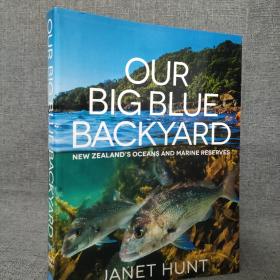 OUR  BIG BLUE  BACKYARD:NEW ZEALAND ' S OCEANS AND MARINE RESERVES我们蓝色的大后院  新西兰的海洋和海洋保护区