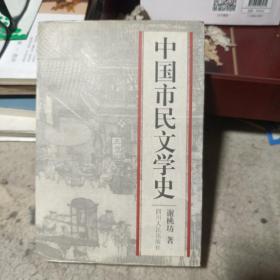 中国市民文学史