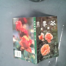 月季花图谱第2集