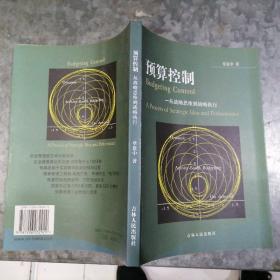 预算控制：从战略思维到战略执行 小16开