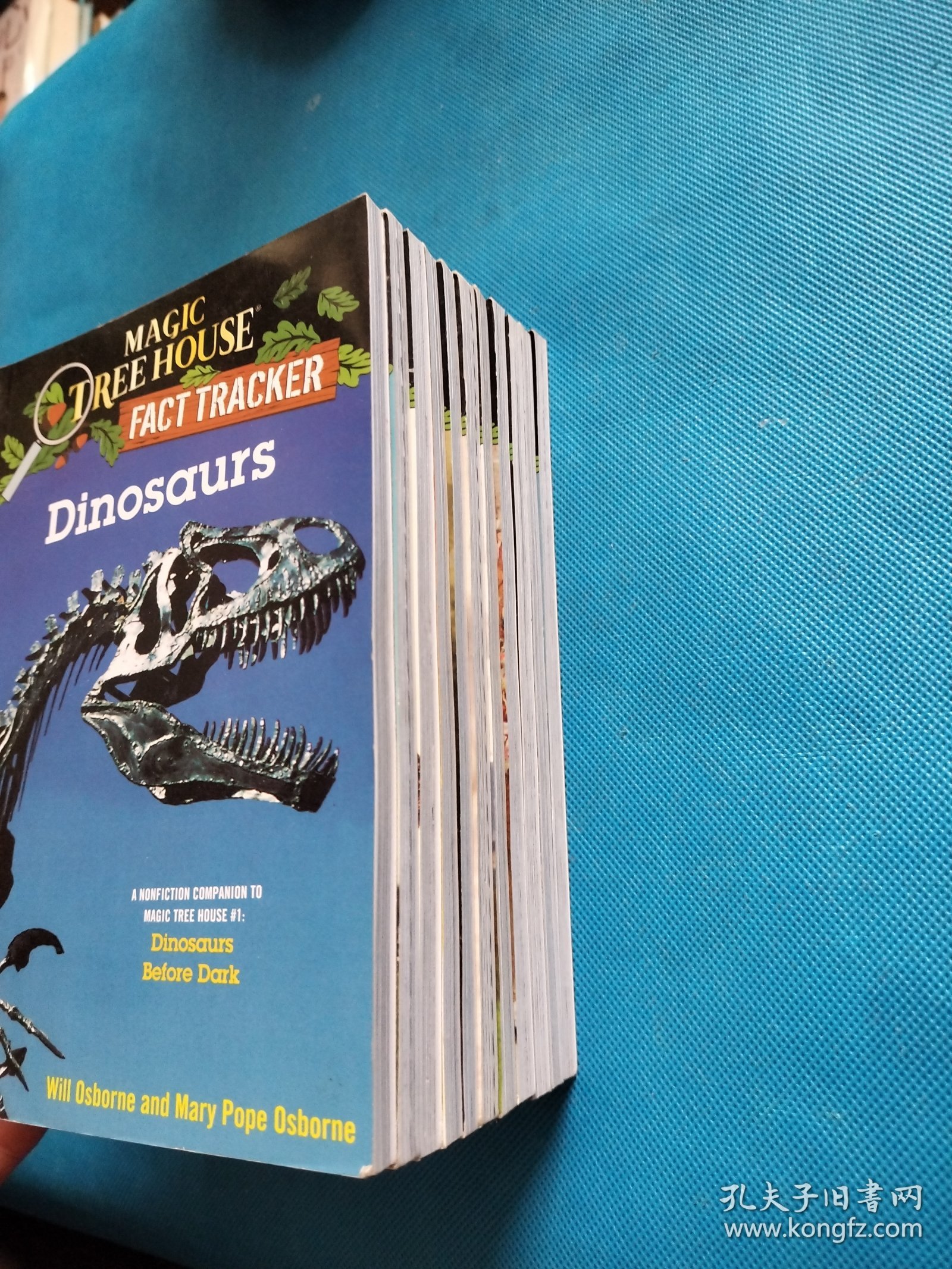 Magic Tree House fact tracker【共11本合售】