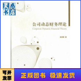 公司動(dòng)態(tài)財(cái)務(wù)理論