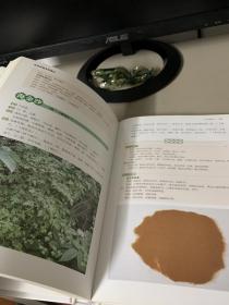 活学活用本草纲目