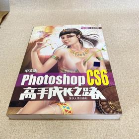 中文版Photoshop CS6高手成长之路