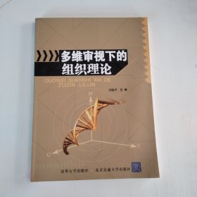 多維審視下的組織理論
