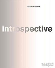 理查德·汉密尔顿：反省  Richard Hamilton: introspective