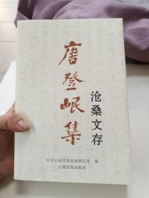 唐登岷集 沧桑文存