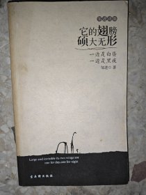 邹进诗集 : 它的翅膀硕大无形，一边是白昼，一边 是黑夜