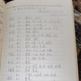 1957美术日记（60年代老医生 手写 针灸方 中医方）
