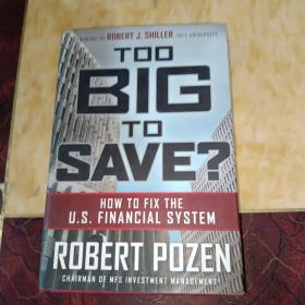 Too Big to Save? How to Fix the U.S. Financial System[大乱有大治]