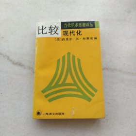 比较现代化:当代学术思潮译丛 世界现代化进程译丛