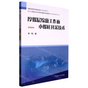 厚煤层综放工作面小煤柱开采技术