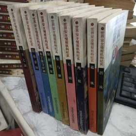 世界安全情报机构纪实潜流